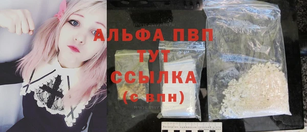 индика Горно-Алтайск