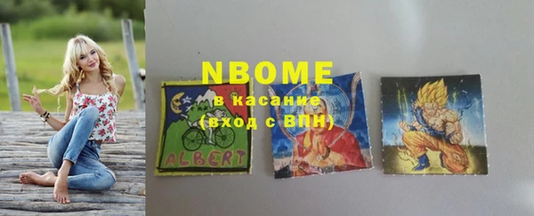 индика Горно-Алтайск