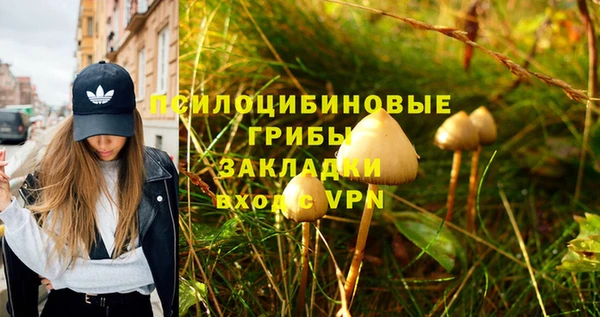 амфетамин Горнозаводск