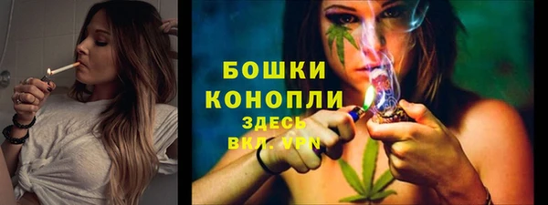 индика Горно-Алтайск