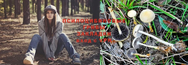 амфетамин Горнозаводск