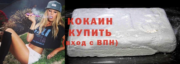 индика Горно-Алтайск