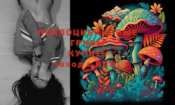 прущие крисы Вяземский
